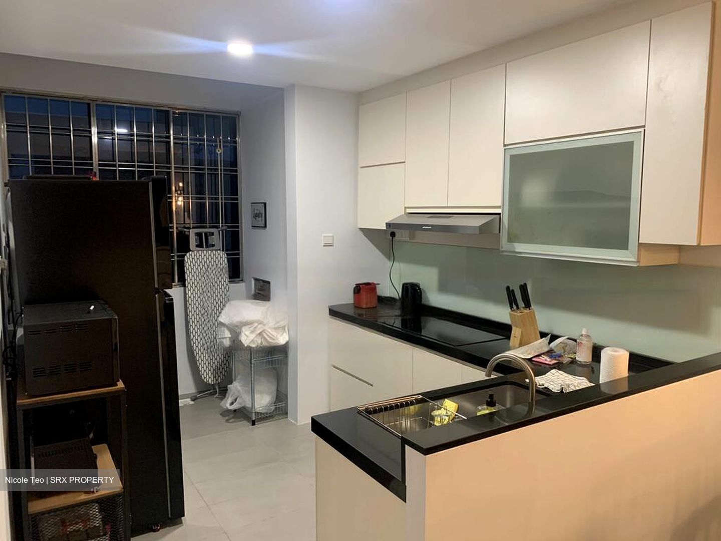 Royale Mansions (D15), Apartment #461095961